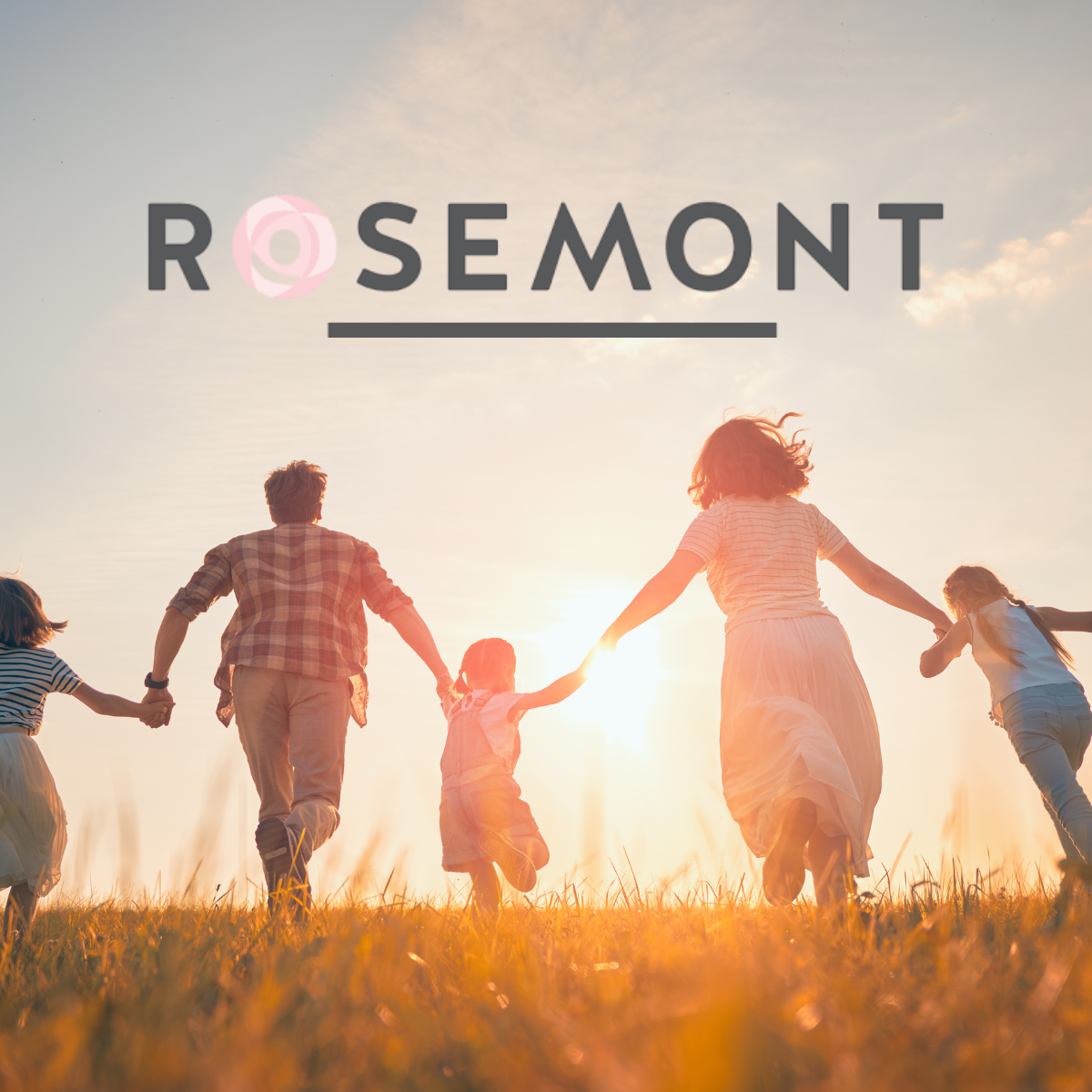 Rosemont EDM (1)