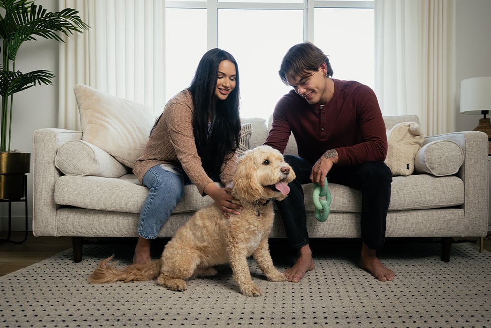 Ambrea-Family-Photo-1-1 Ambrea-Family-Photo-1-1